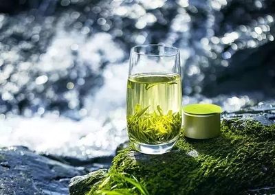 湖南農(nóng)大專家在茶葉中發(fā)現(xiàn)新型成分，助力預(yù)防肌肉萎縮，未來(lái)或可開發(fā)為辦公健康產(chǎn)品